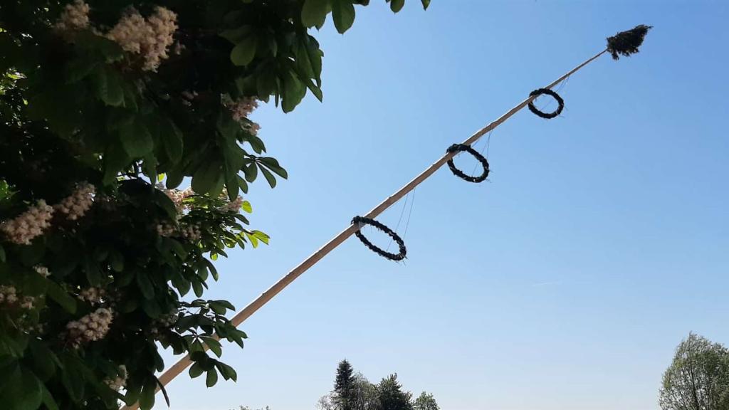 Maibaum aufstellen 2025